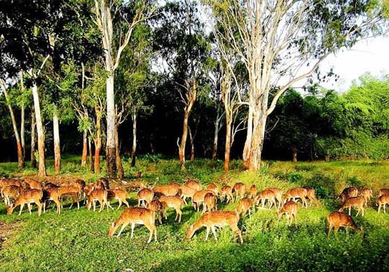 DANDELI WILDLIFE SANCTUARY