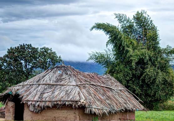 KULGI NATURE CAMP