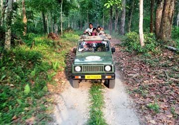 jungle safari in dandeli